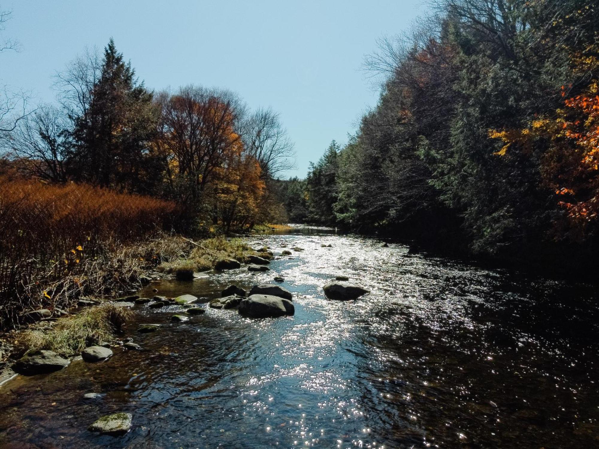 Antrim Streamside Hotel Livingston Manor Kültér fotó
