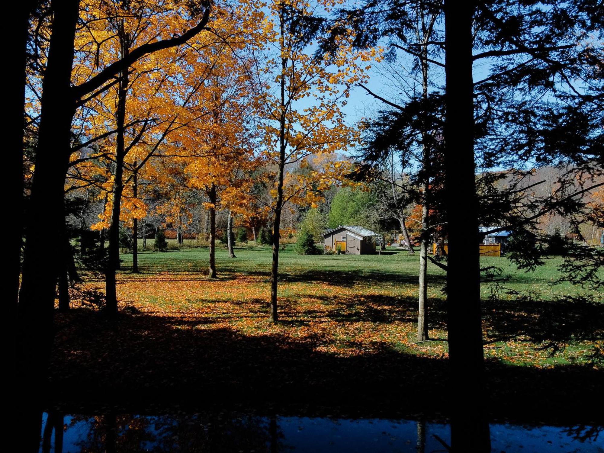 Antrim Streamside Hotel Livingston Manor Kültér fotó